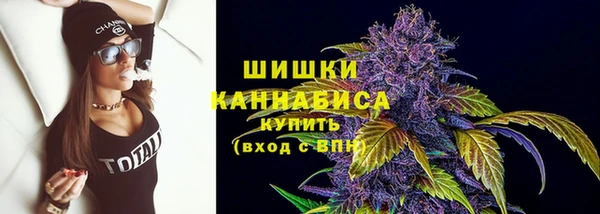 ПСИЛОЦИБИНОВЫЕ ГРИБЫ Балабаново