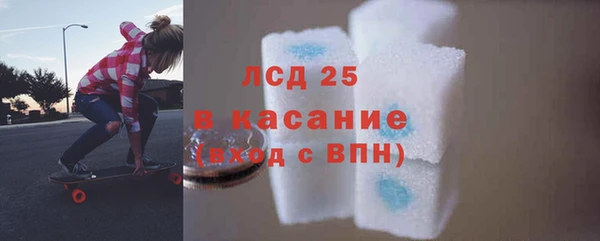 ПСИЛОЦИБИНОВЫЕ ГРИБЫ Балабаново