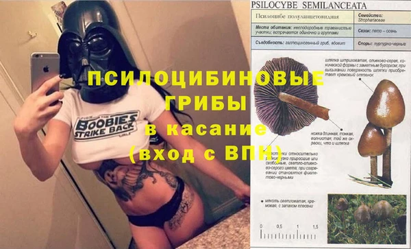бошки Балахна