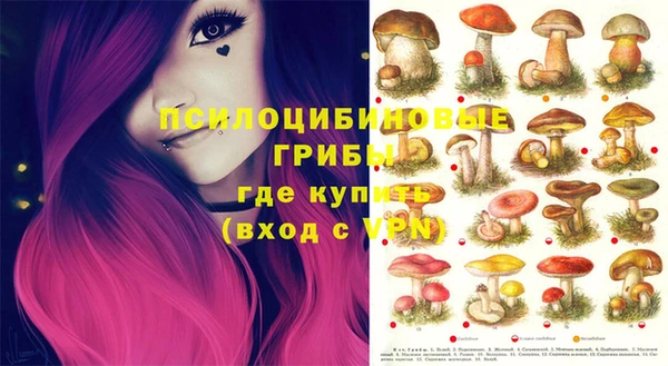 бутират Баксан